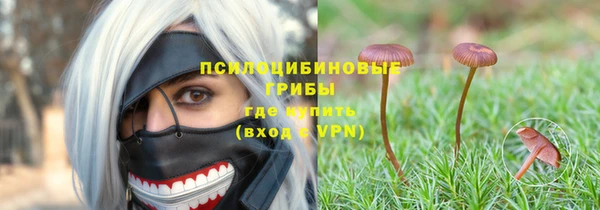 кокс Армянск