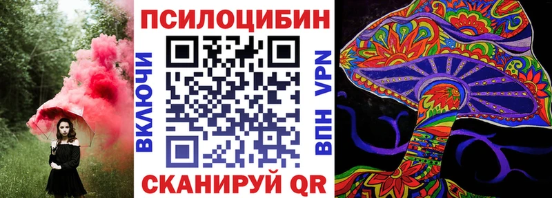Купить где  Суджа  Галлюциногенные грибы Magic Shrooms 